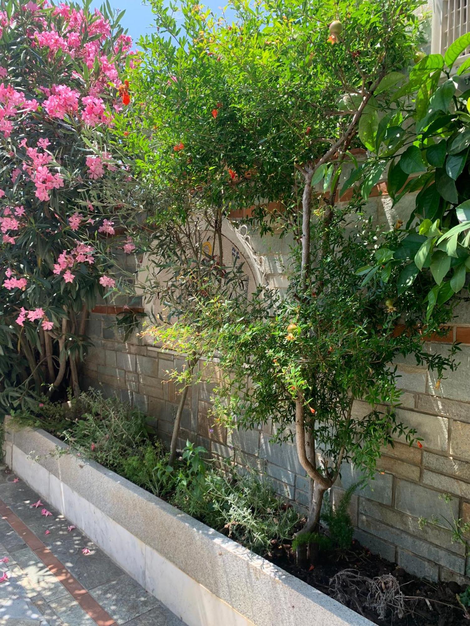 Gemuetliches Appartement In Ano Poli Saloniki Zewnętrze zdjęcie