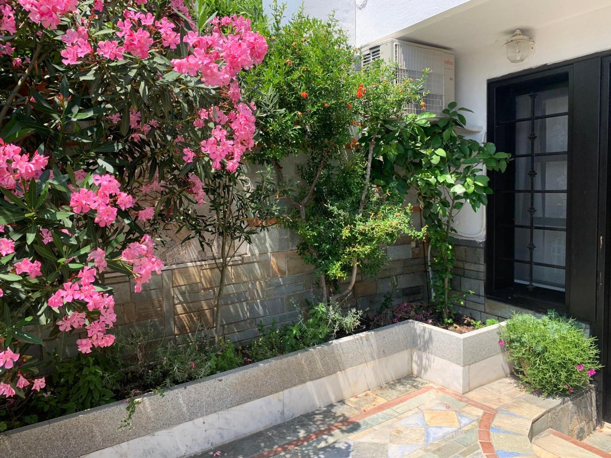 Gemuetliches Appartement In Ano Poli Saloniki Zewnętrze zdjęcie